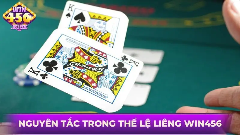 Làm rõ các thông tin căn bản có trong trò chơi