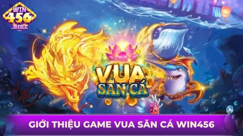 Trò chơi vua săn cá WIN456 đem lại phút giây ấn tượng